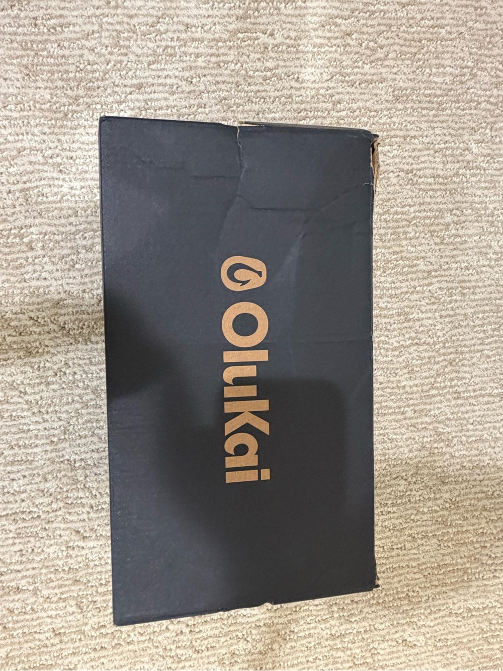 Olukai slides